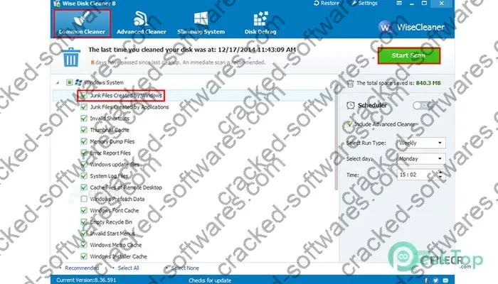 Wise Disk Cleaner Crack