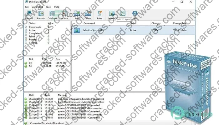 Disk Pulse Crack