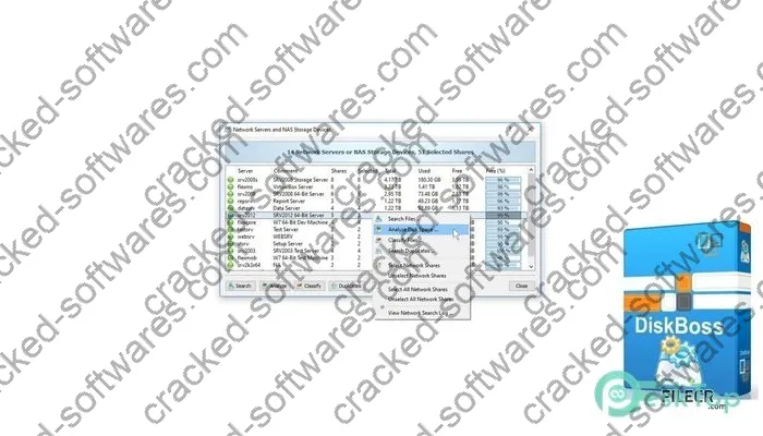 Diskboss Serial key