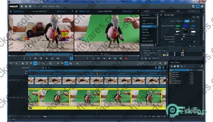 Magix Video Pro X12 Crack