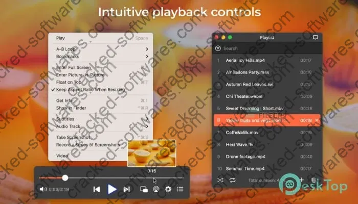 elmedia player Activation key