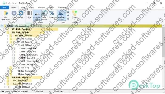 Treesize Free Crack