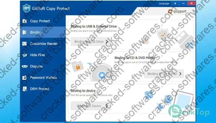 Gilisoft Copy Protect Crack