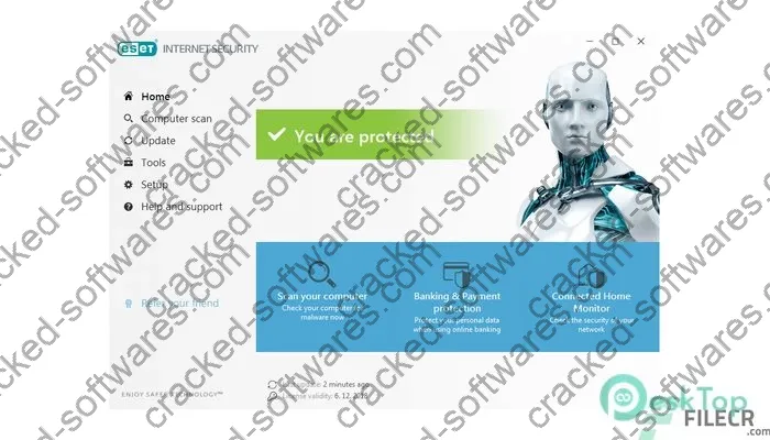 eset internet security Activation key