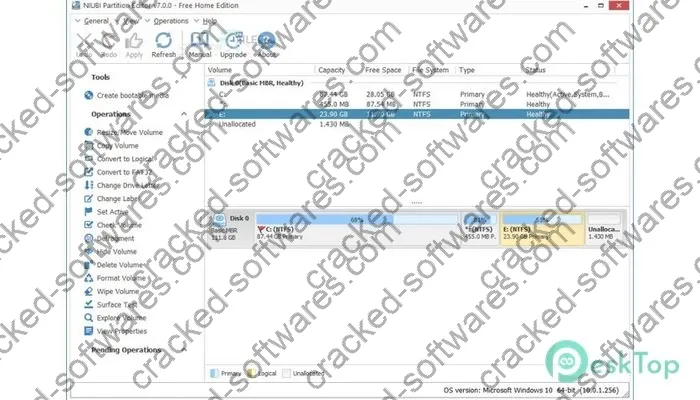 Niubi Partition Editor Serial key