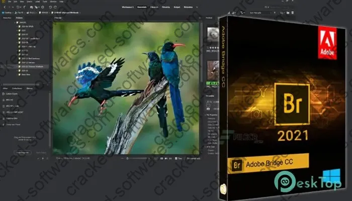 Adobe Bridge 2024 Crack