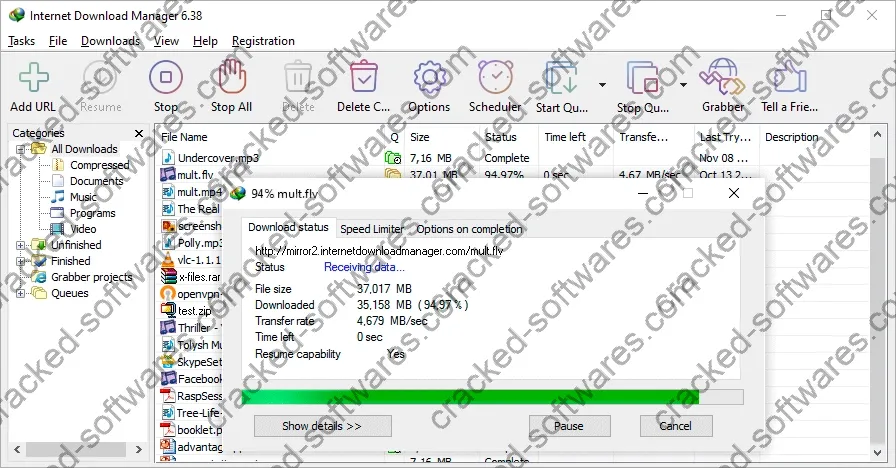 Internet Download Manager Crack